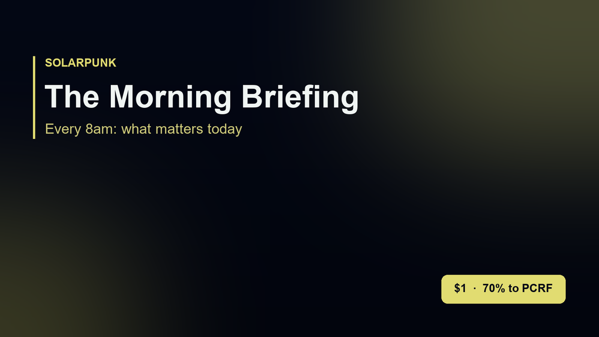 The Morning Briefing cover